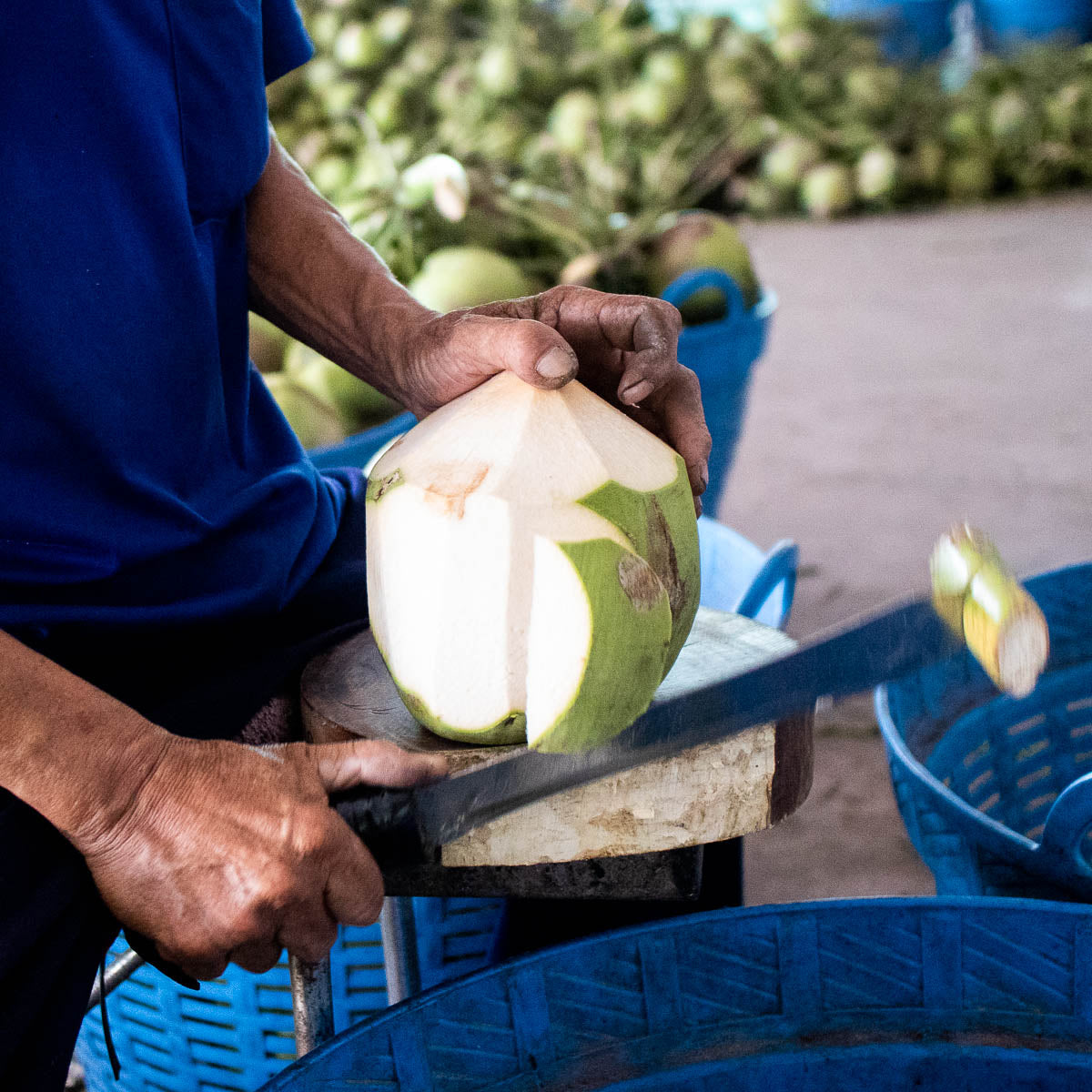 Noix de coco fraîche bio