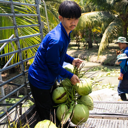 Noix de coco fraîche bio