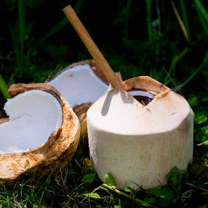 Noix de coco fraîche bio