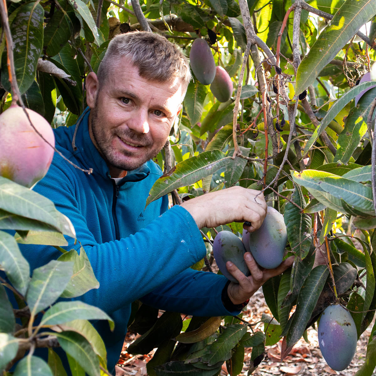 Mangue Keit bio direct de Julian