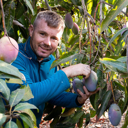 Mangue Keit bio direct de Julian